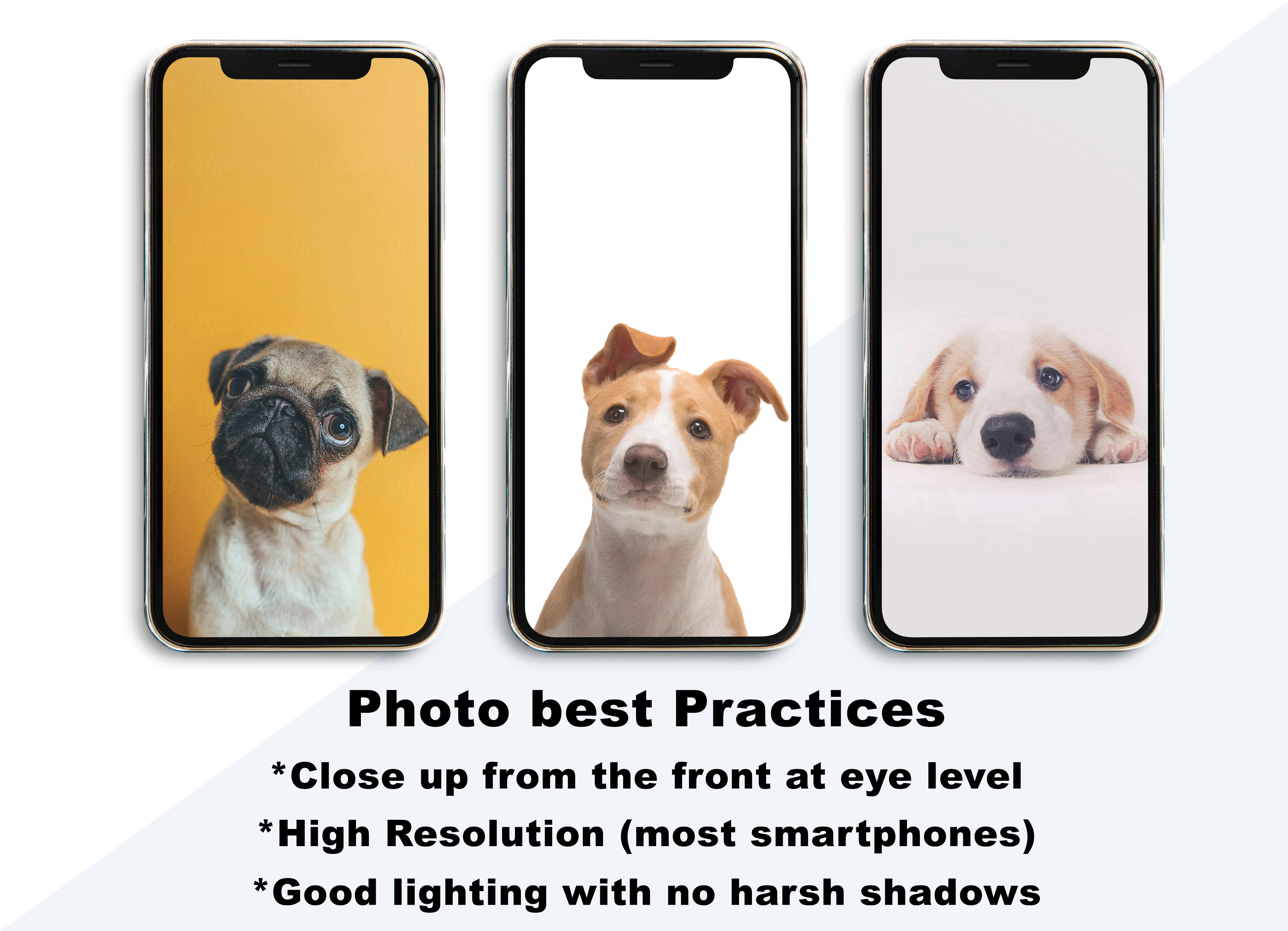 I will make a custom pet portrait, dog portrait, cat portrait