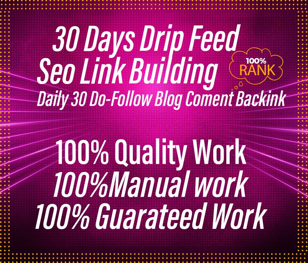 I will submit 30 days drip feed daily 30 blog comments link building service