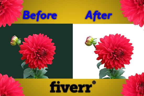 I will do professionally background removal in your images.