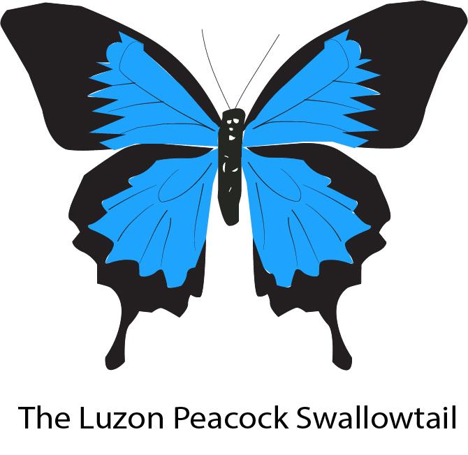 I will create a unique professional logo, logo with background 