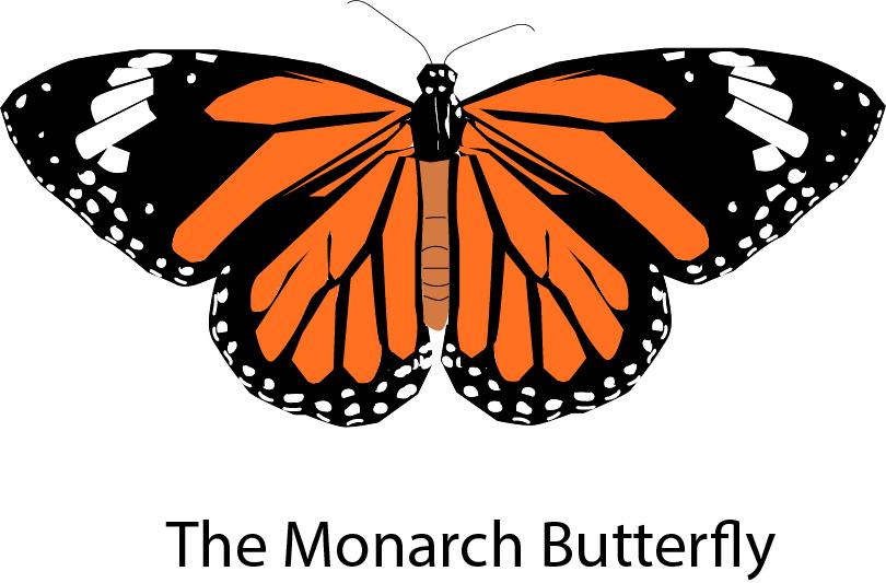 I will create a unique professional logo, logo with background 