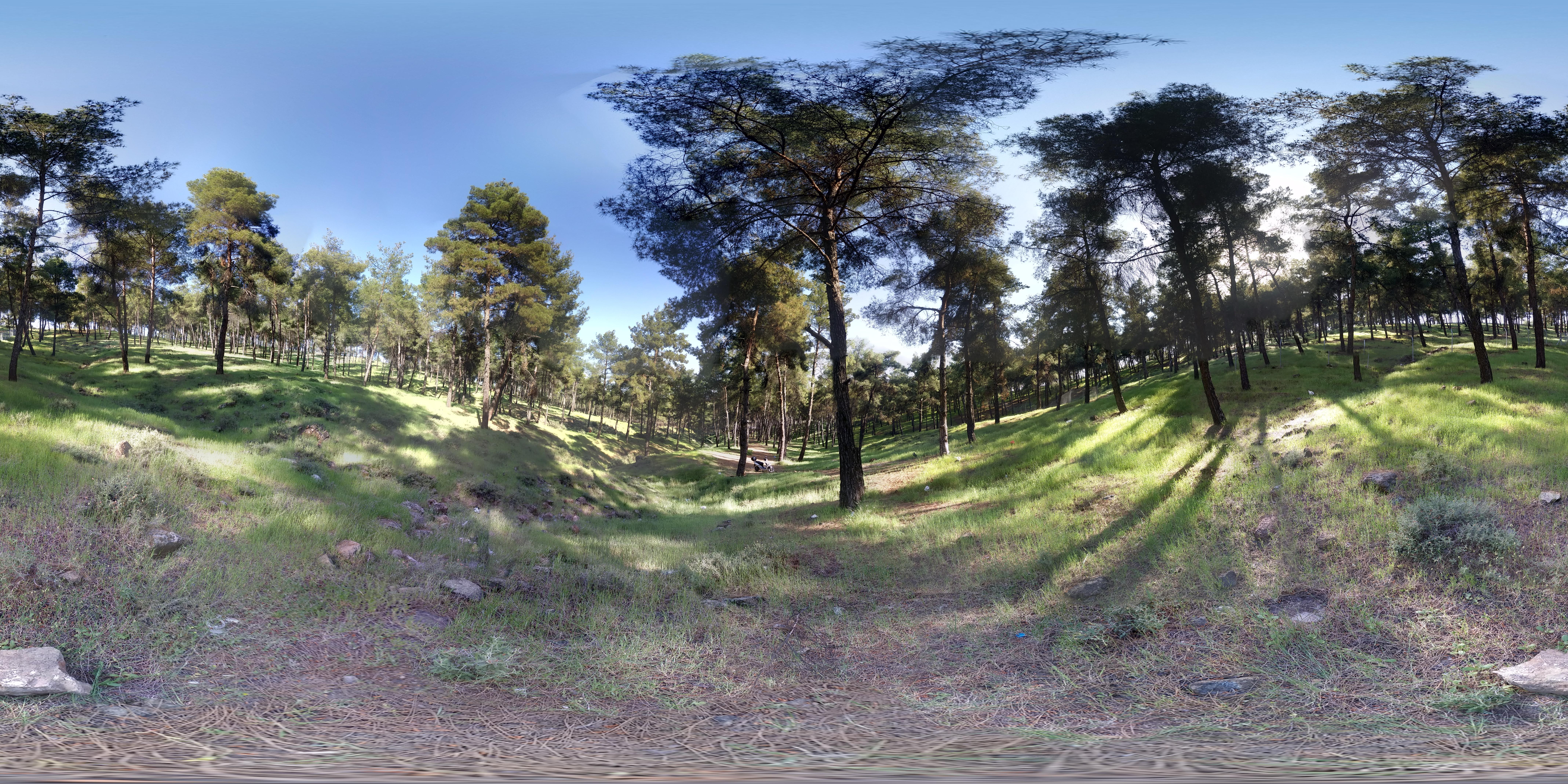 360-degree 3D images A panorama 