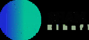 Logo design 20-second motion video 