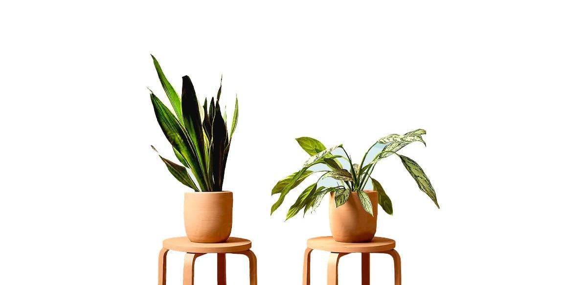 I will remove image background & image for add another background 10 images