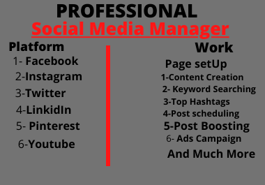 I Will be your professional social Media Marketing Manager expert 