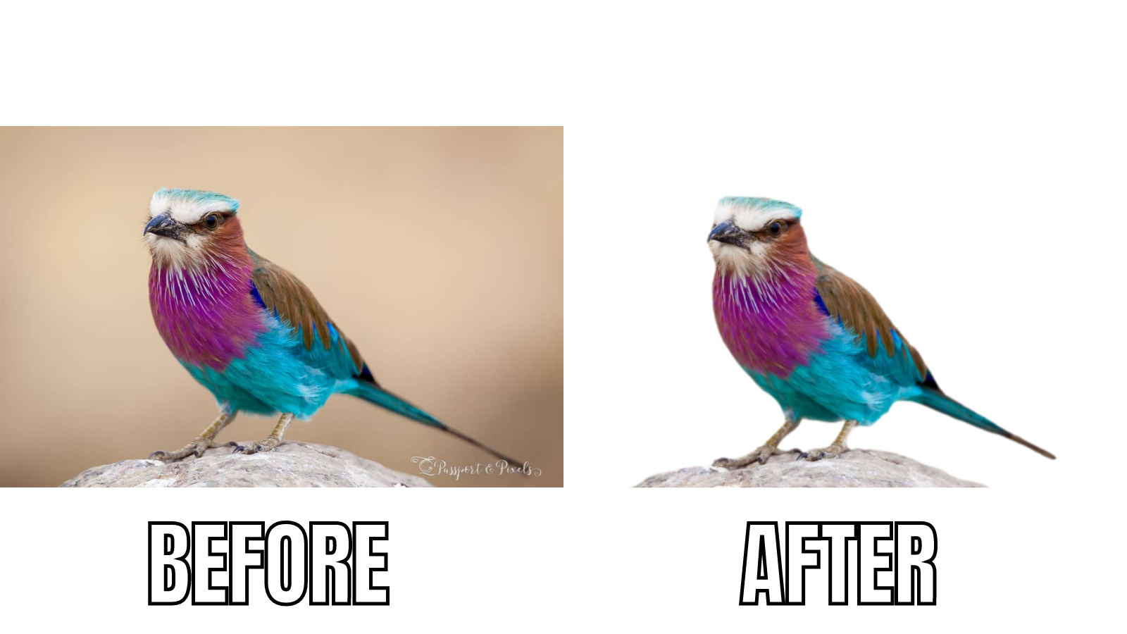 I will Provide High-quality Image Background Removal Most Professionally 24x7