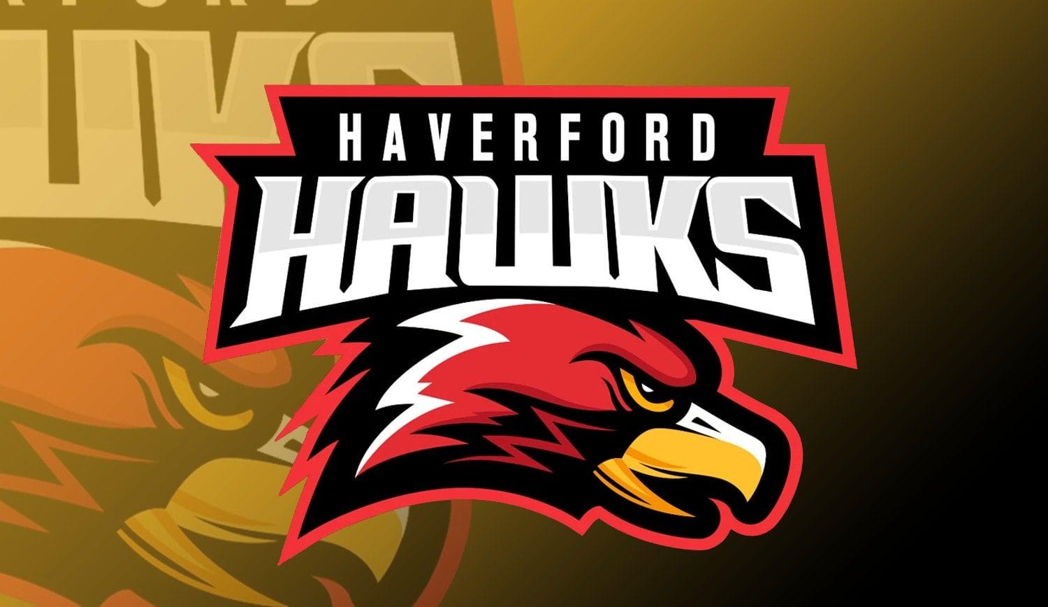 I will design mascot sport logo for team and pro leagues