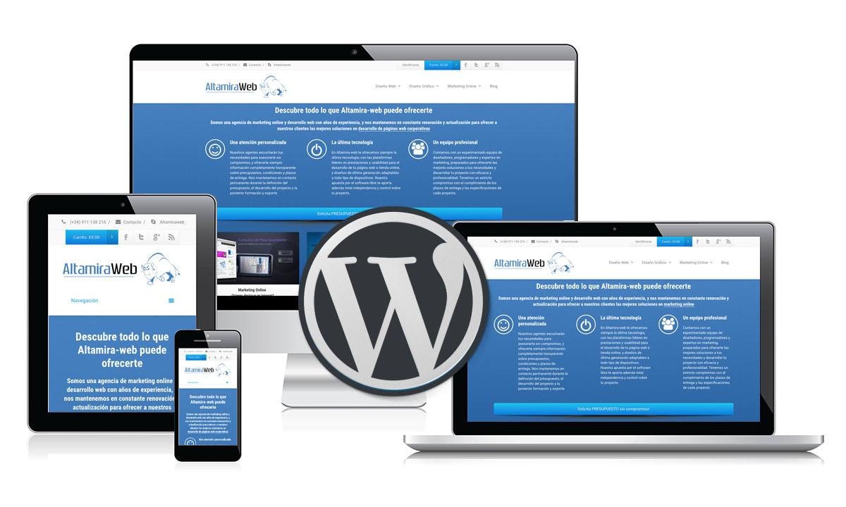I will design and create a custom wordpress website