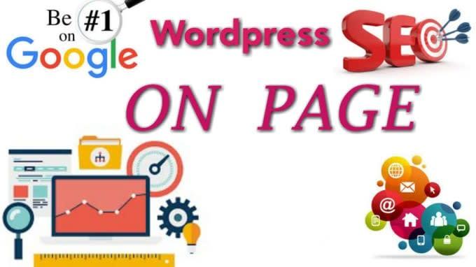 I will do high quality on page SEO for any website