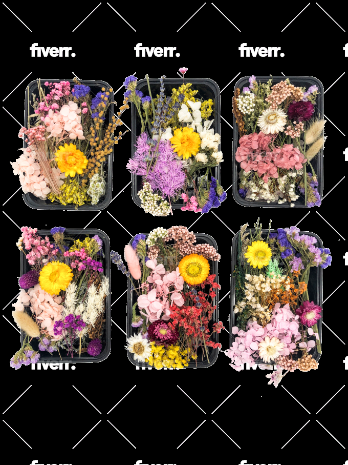  I will remove the background 15 beautiful pictures