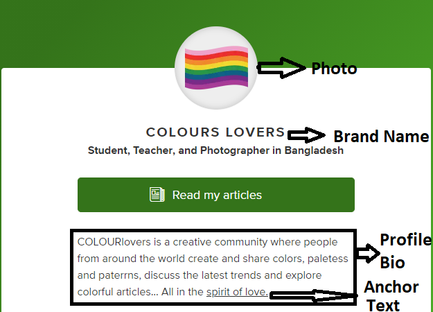 100 high quality Profile Backlinks with DA 70+