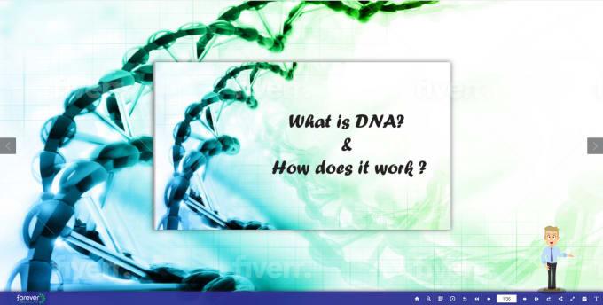 I will make a digital flip book of your brochure, catalog, magazine, portfolio, album