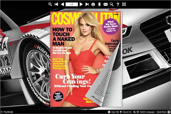 I will make a digital flip book of your brochure, catalog, magazine, portfolio, album