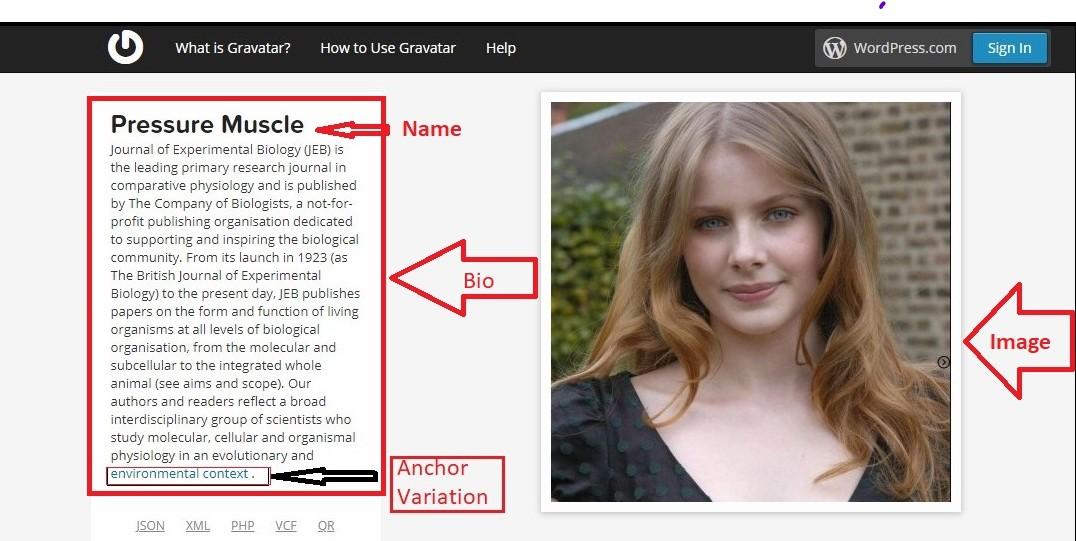 50 High DA Social Profile Backlinks Manually Create