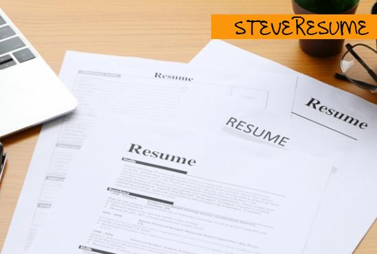 I will provide a professional resume/CV writing service