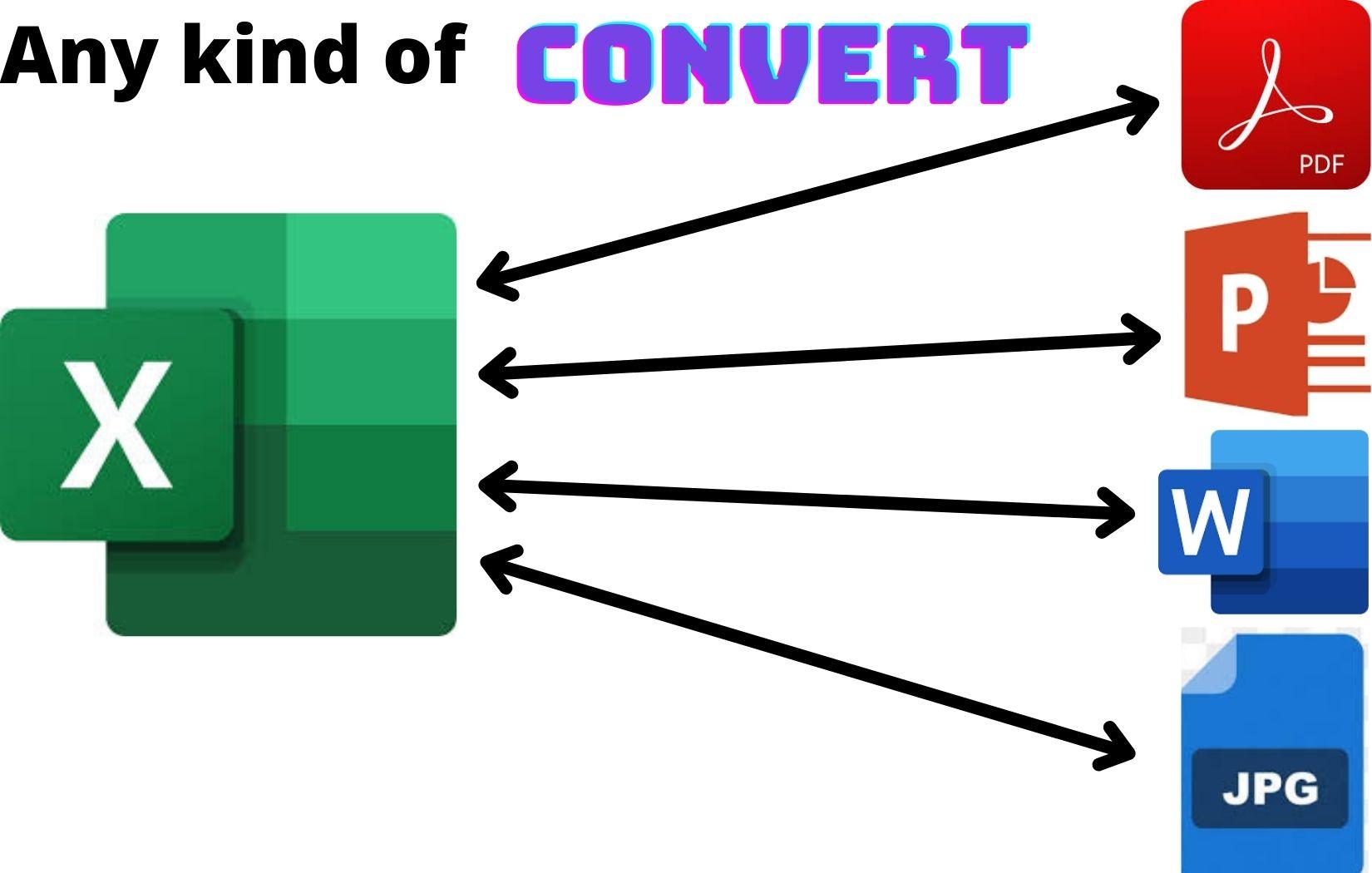 I will convert pdf to word professionally, express delivery