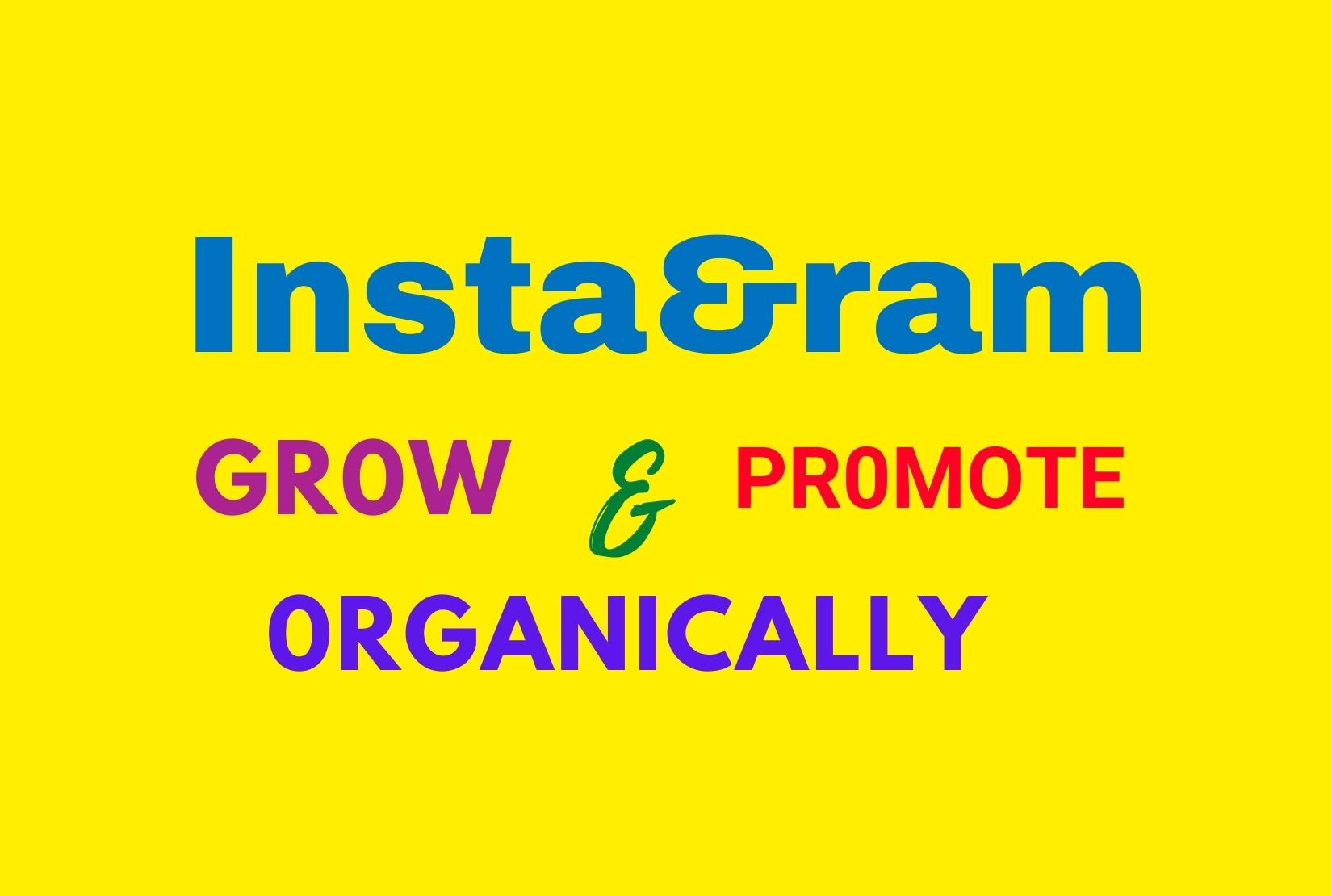 I will promote and grow Instagram page naturally