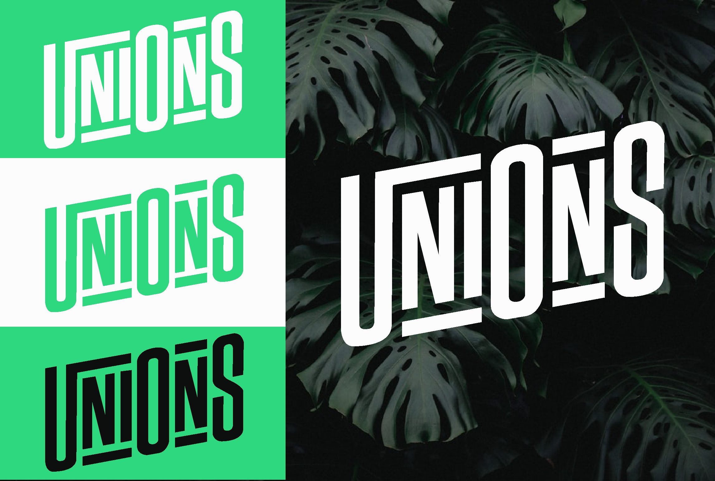 I will do flat minimalist professional logo design in 24 hr