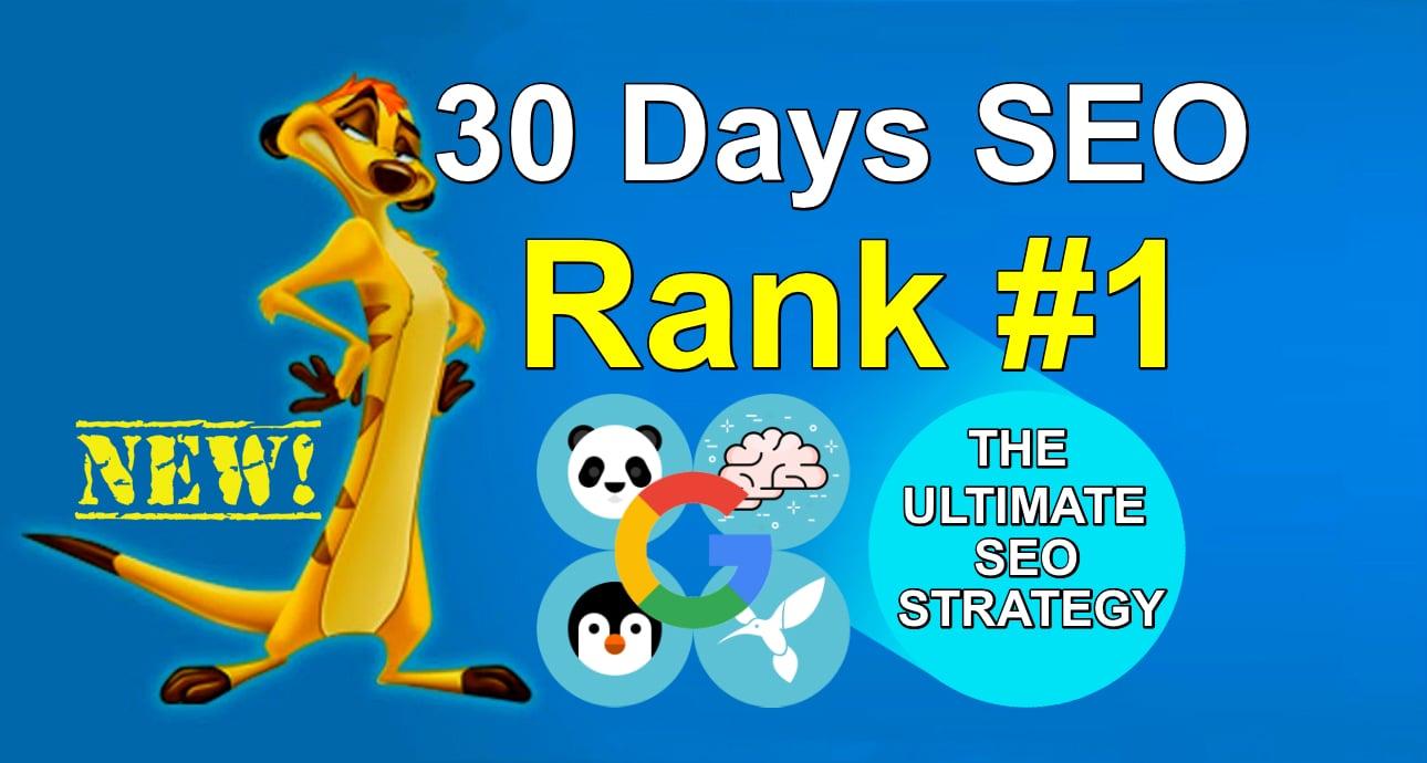 Daily Manual DA50+ High Authority Backlinks Building - Rank #1