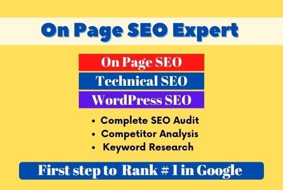 On Page SEO Expert Service, Technical SEO, WordPress SEO