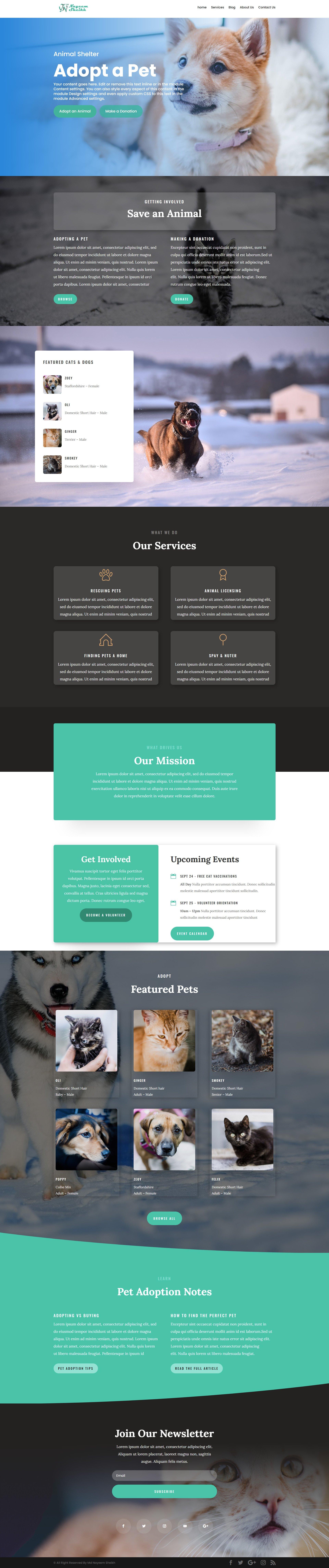 wordpress installation, demo import, themes & plugin installtion