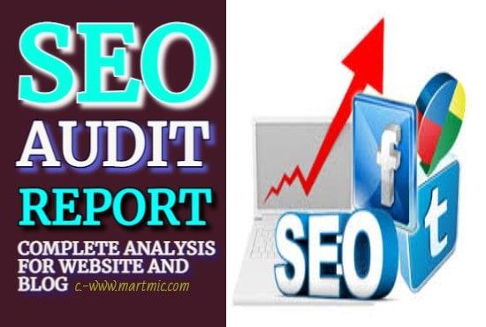 I will do SEO analysis audit report for website or blog