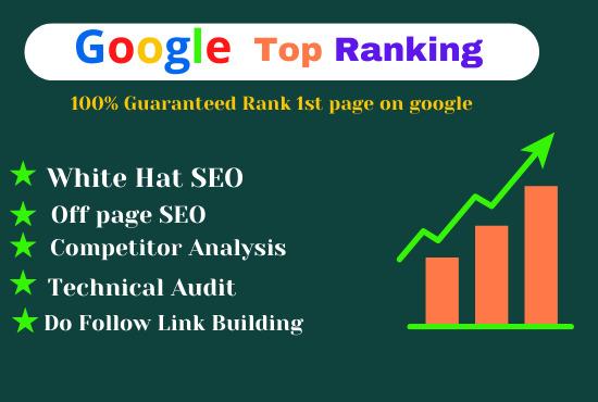 I will do professional SEO service for google top ranking