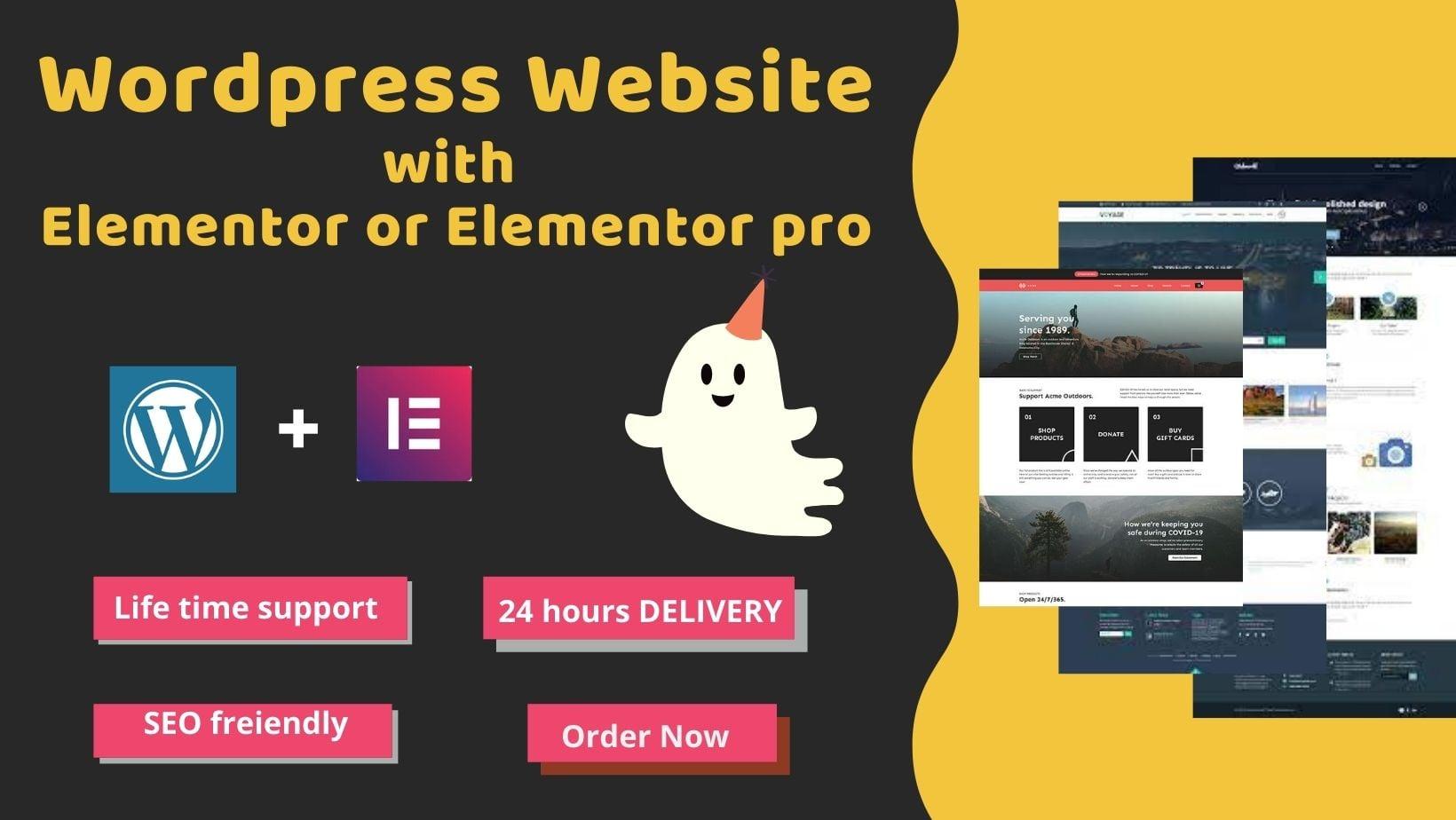 I will Design,redesign,duplicate any wordpress website with Elementor pro