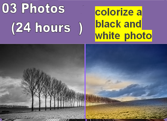 I will colorize 03 black and white photos within 24 hours