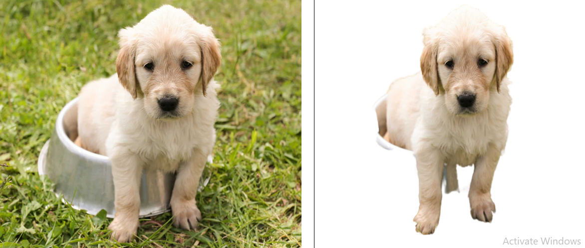 I will do remove background from 10 images within 24 hours