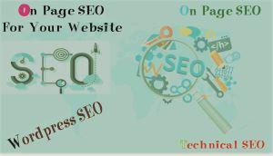I will do On Page SEO Complete meta description/ image alt text and meta title .