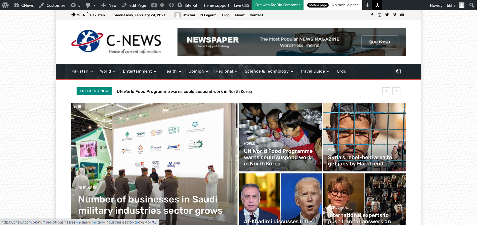 I will create ecommerce website online store and wordpress website