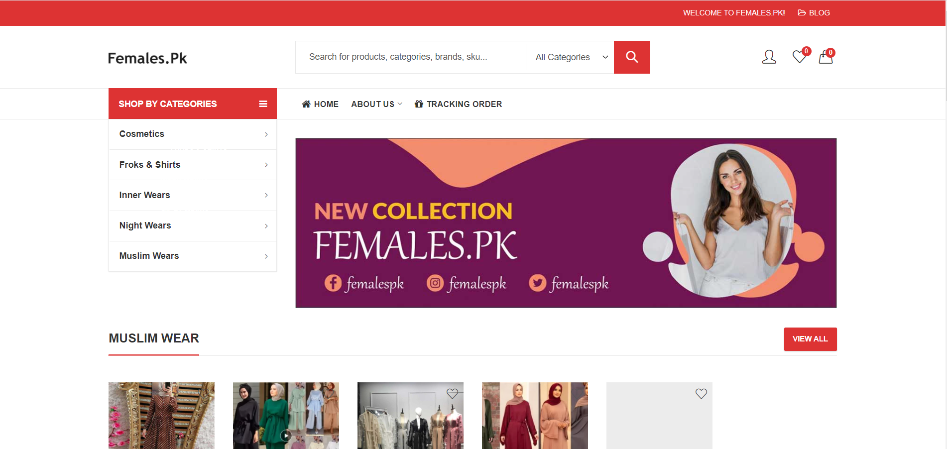 I will create ecommerce website online store and wordpress website