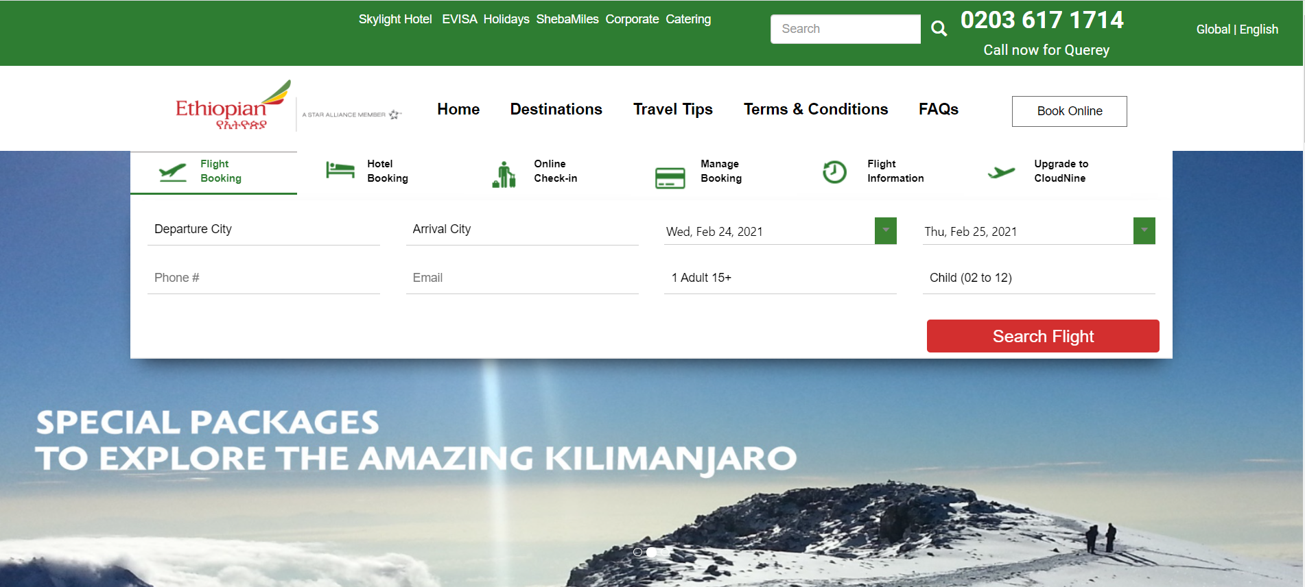 I will create ecommerce website online store and wordpress website