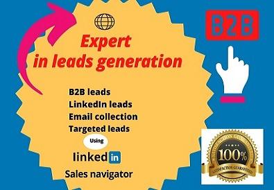 I will do targeted B2B lead generation in LinkedIn and web research 