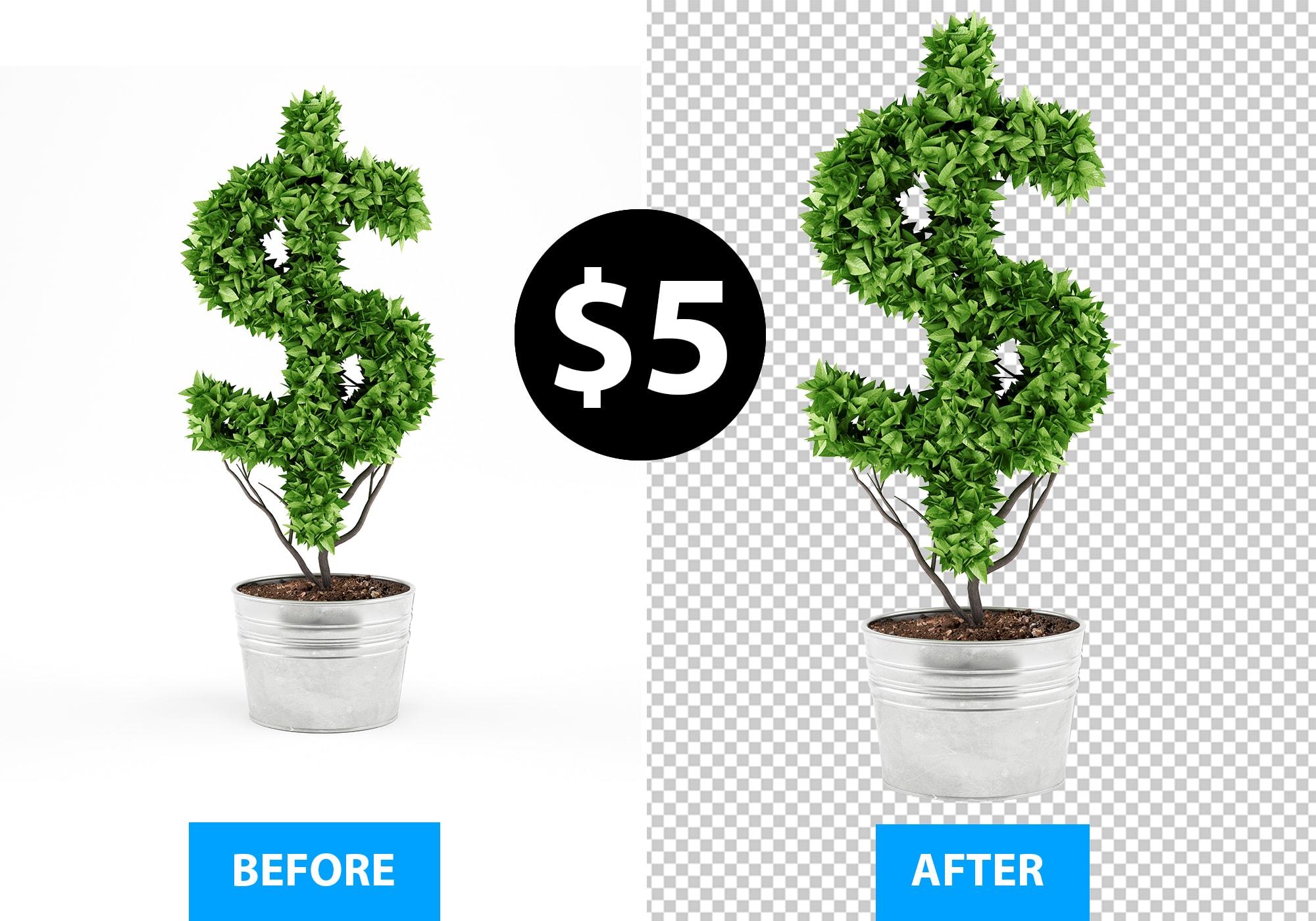 I will remove background from images professionally 