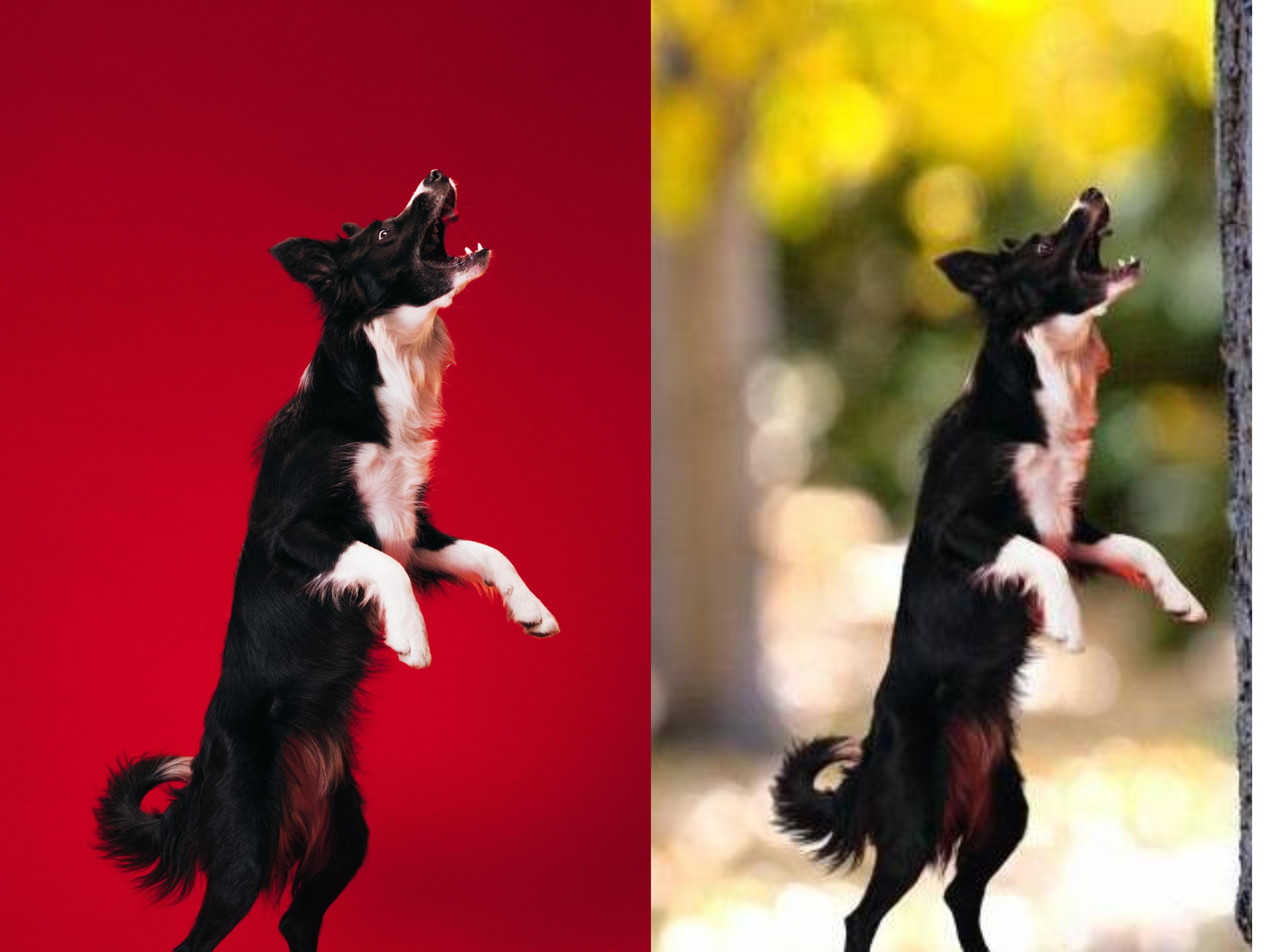 I will do Photoshhop editing and face retouching a