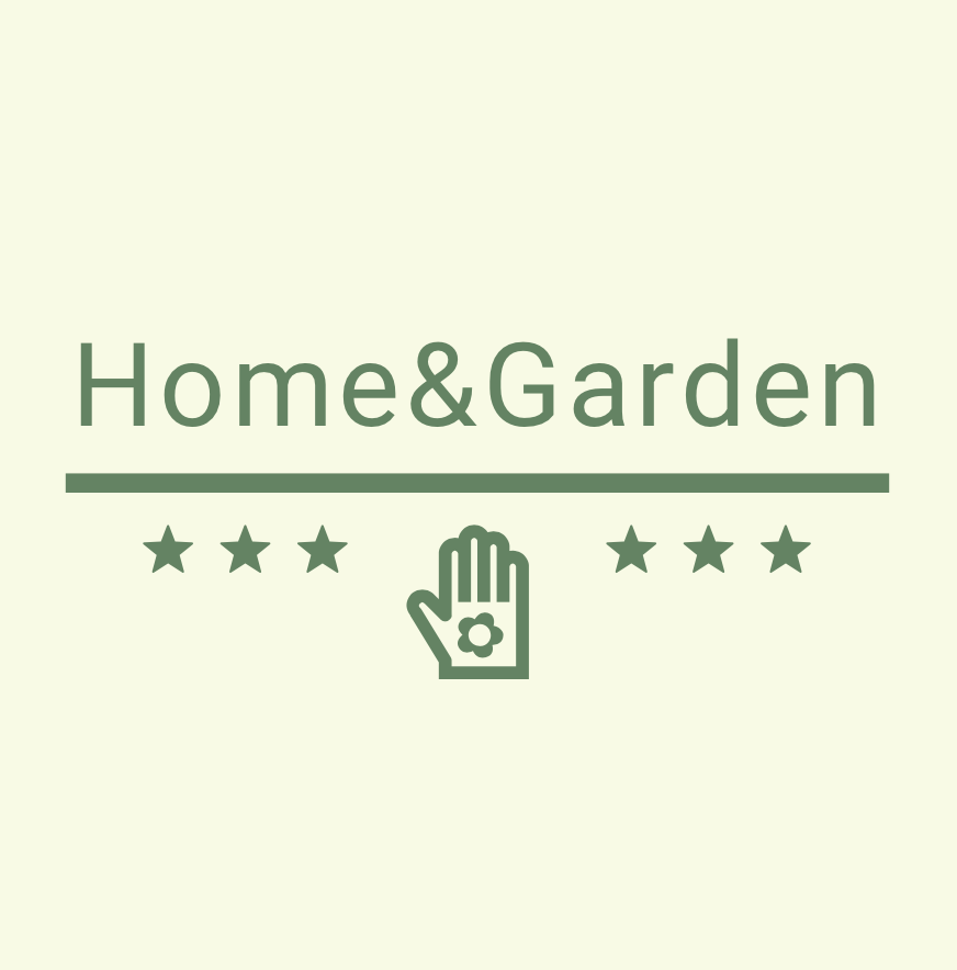 I create the best logo in 24 hours