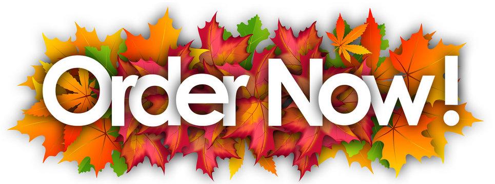 I will be your virtual assistant for web research, data entry, research