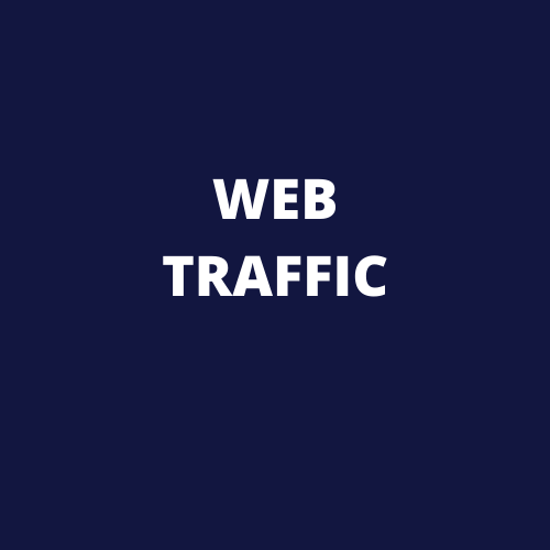 I will do provide USA web traffic