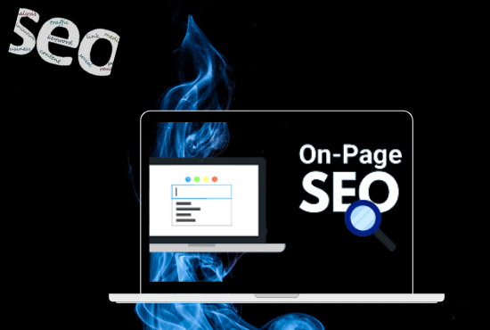 I will do google Ranking 21 days 2021 google Factor policy 