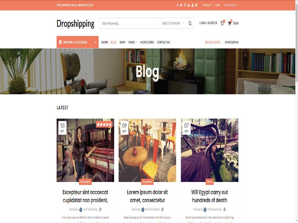 Professional wordpress woocommerce store Designer