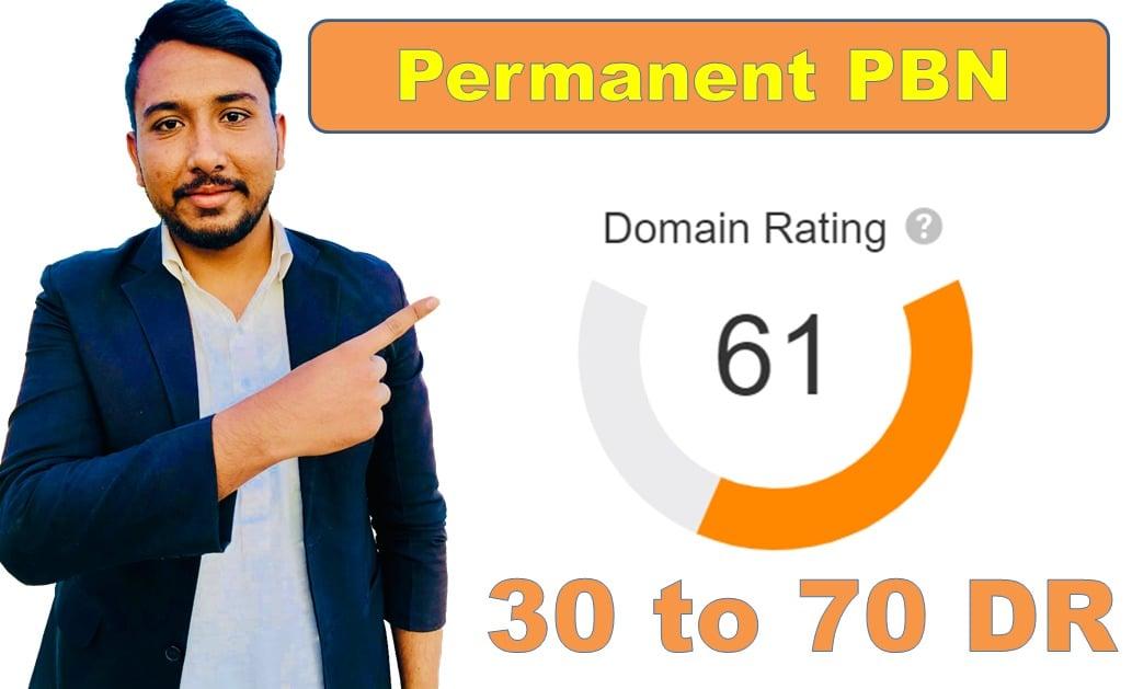 I will create permanent 100 DR 30 to 70 plus high quality backlinks