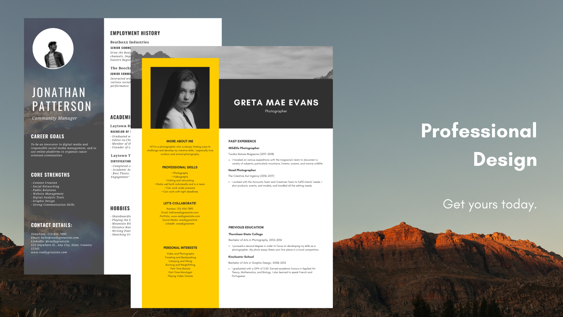 Professional Looking Resume Design