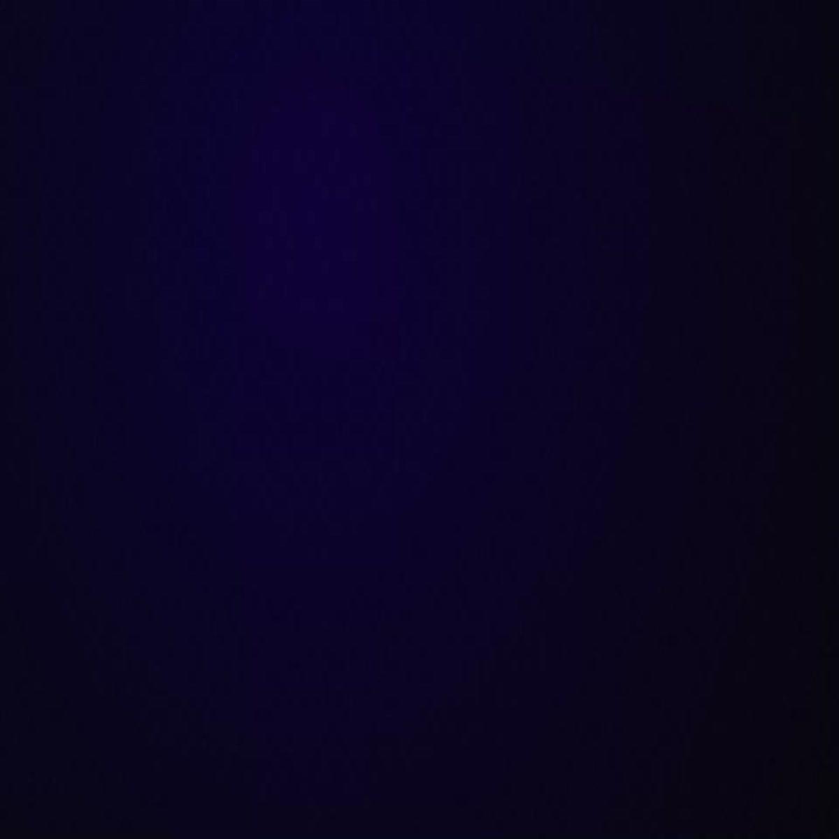 I will create 5 beautiful animations with your logo