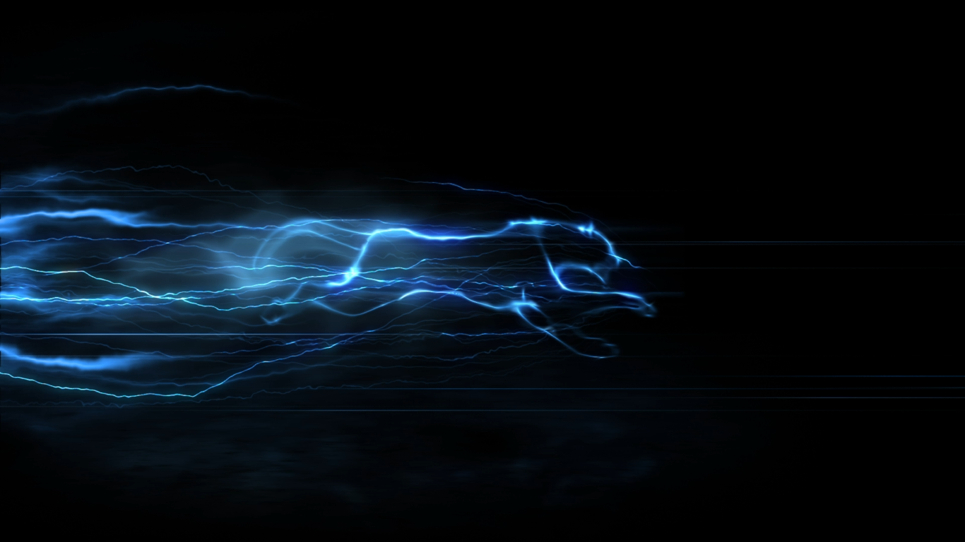 I will create 5 beautiful animations with your logo