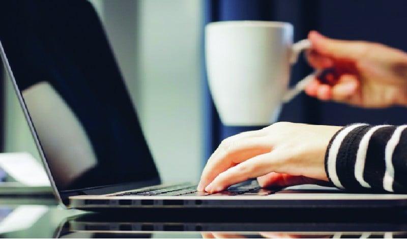 Writing any texts and research on roses or PowerPoint