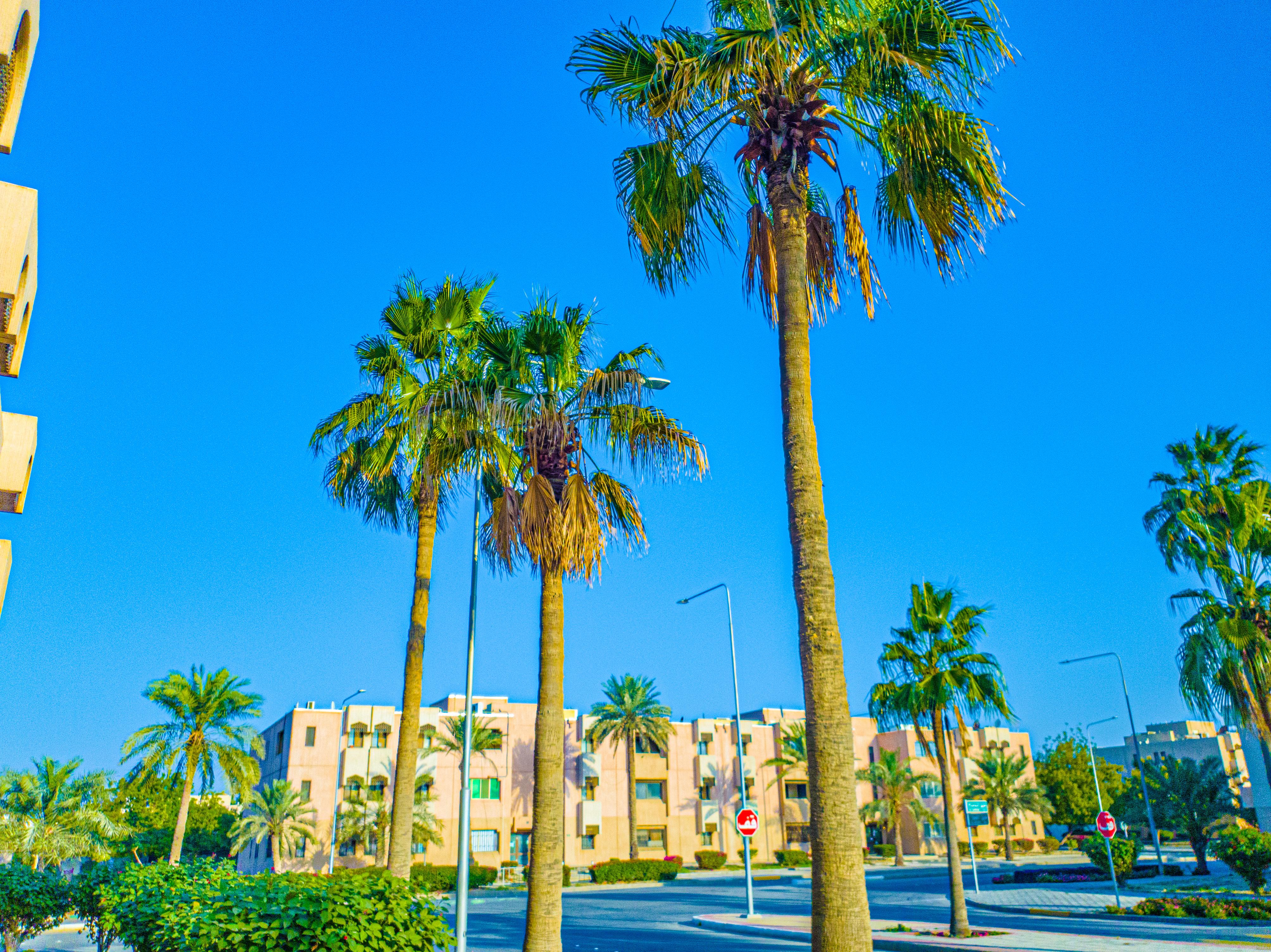 Professional photo editing with very high accuracy 