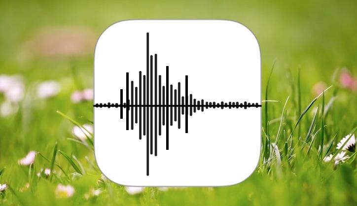  Audio voice recording in English American/British
