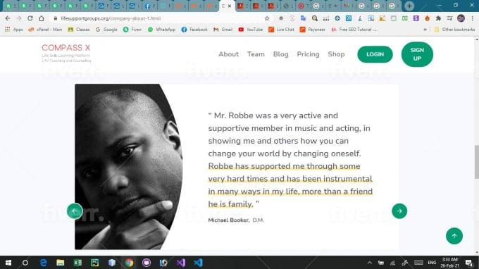 I will fix issues in wordpress website themes, plugins and do customization